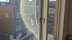 窓クリーニング